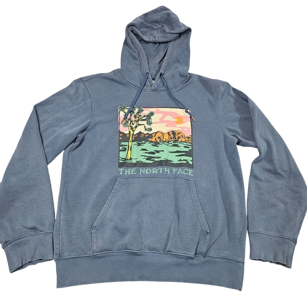 North Face Hoodie Mens Small Blue Joshua Tree Desert Graphic Pullover Gorpcore